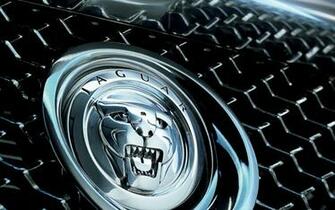 Jaguar Wallpaper