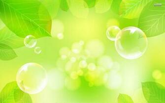 Leaf Background HD Wallpaper Amazing Wallpaperz