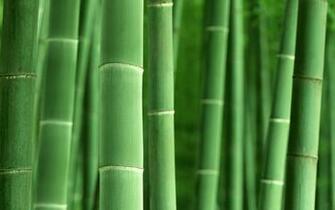Japanese Wallpaper Various