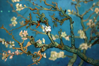 Van Gogh Almond Blossoms Wallpaper