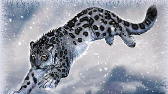 Snow Leopard Wallpaper