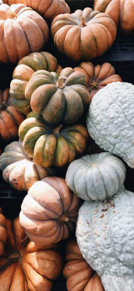 Thanksgiving iPhone Wallpaper