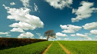 Showing Gallery For HD Landscape Wallpaper 1080p
