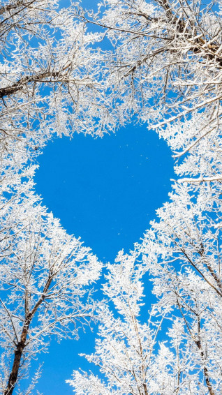 Heart iPhone Wallpaper