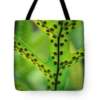 Hawaiian Laua E Fern Tote Bag By Kathy Yates