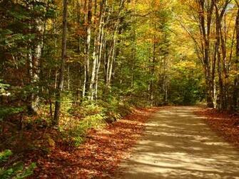 Fall Wallpaper Click For Large Image Autumn Road Size