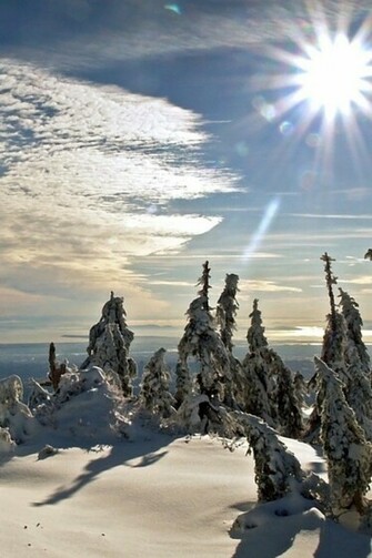 Wallpaper Catalogue Winter Sun In Resolution