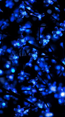 Wallpaper Garland Neon Light Backlight Blue Dark Christmas