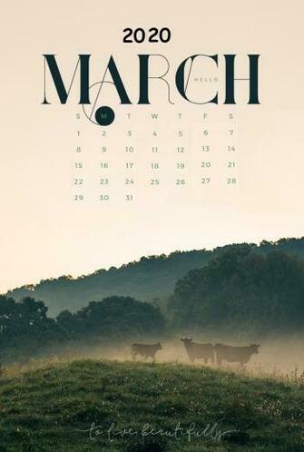 iPhone March Wallpaper Calendar