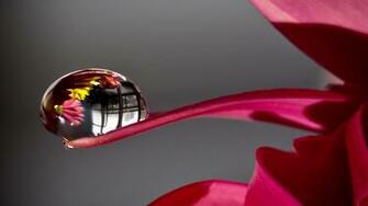 Imac Background Nature Wallpaper HD Background Desktop