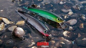 Rapala Fishco Wallpaper
