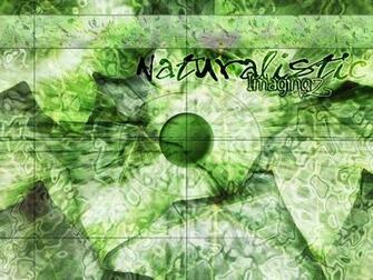 Naturalistic Imaging Wallpaper Walltor