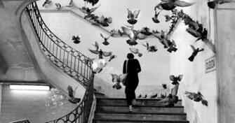 Henri Cartier Bresson Miller Creation