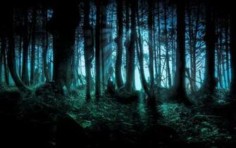 Halloween Forest Wallpaper At Wallpaperbro