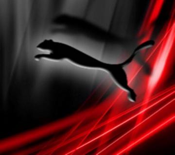 Puma Phone Wallpaper On