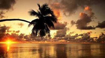 Tropical Sunset Beach Beautiful Scenery Wallpaper Pictures And