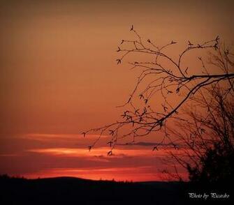 Sunset By Picardroe Caedes Desktop Wallpaper