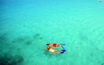Diving Wallpaper Kb