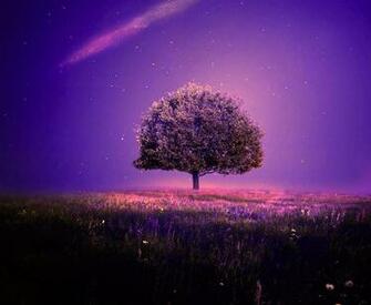 Awesome Land Pro Live Wallpaper By Baxiaart
