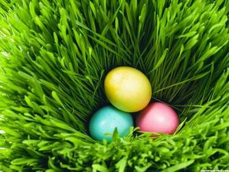 Top Easter Eggs Pictures HD Image