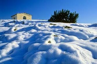 Purity National Geographic Photo Contest