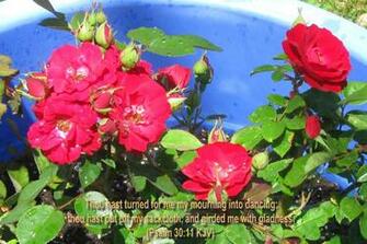 Summer Flowers Wallpaper And Make This For
