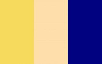 Plain Navy Blue Background Background