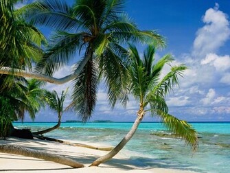 Picture Tepuka Island Tuvalu Photo Wallpaper