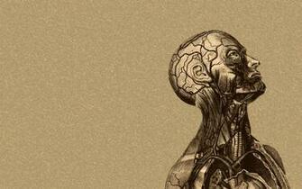 Gain Control Of Your Emotions Let Neurons Do The Work For You