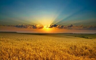 Amazing Wallpaper For Your Desktop