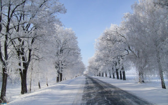 Winter Snow Wallpaper