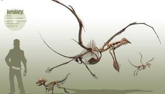 Pokemon Aerodactyl Wallpaper And Desktop Background HD Picture