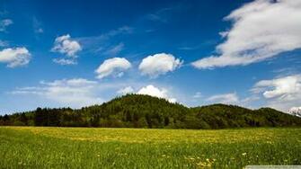 Mountain Meadow Wallpaper