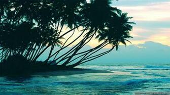 Beautiful Summer Wallpaper Crazy Frankenstein