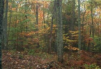 Appalachian Trail Desktop Background Screensavers