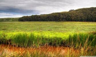 Wetland 4k HD Desktop Wallpaper For Ultra Tv Wide