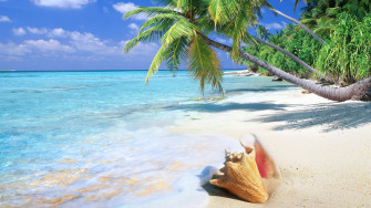 Tropical Beach Wallpaper Desktop