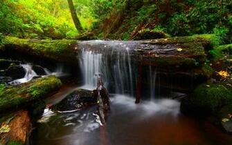 Forest River Timber Waterfall F Wallpaper Background