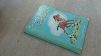 The Story Of Twinky Betty Larom Amazon Books