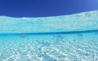 Maldives Widescreen Wallpaper Travel Tourism