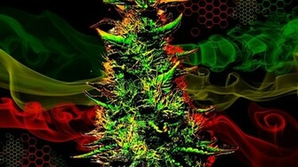 Cannabis Wallpaper