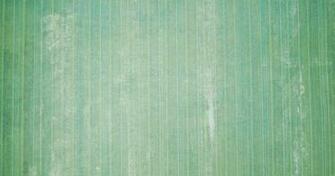 Tips For Painting Over Wallpaper Seams Ehow Uk