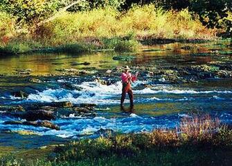 Import Export Best Trout Streams