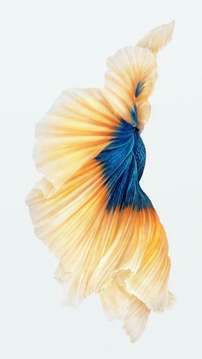 iPhone 6s Fish Gold Wallpaper