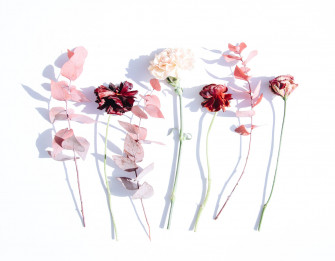 A Minimalist Flower Laptop Wallpaper