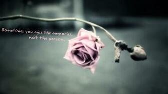 Cover Quotes Timeline Love Wallpaper Rose Flower
