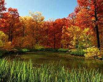 Fall Railroad In The