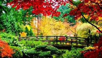 Beautiful Nature Japan Image Reverse Search