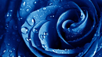Neon Blue Aesthetic Wallpaper