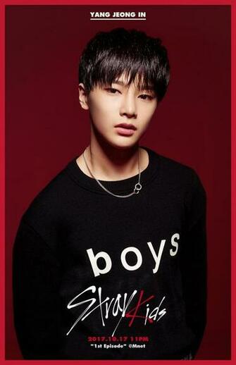 Update Jyp Survival Program Stray Kids Unveils Next